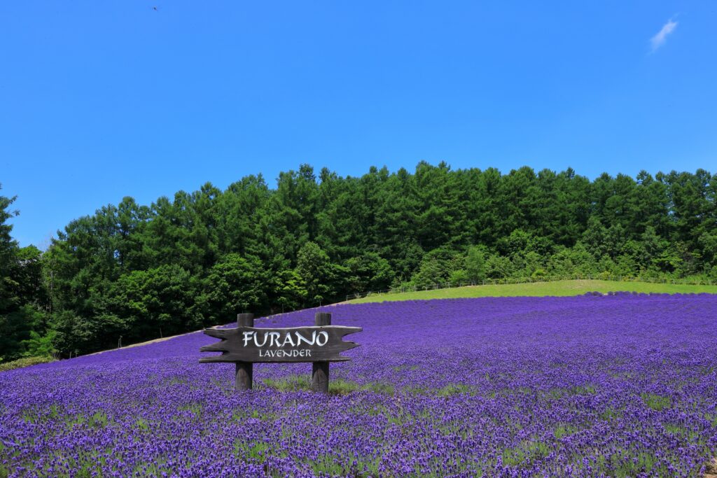 富良野市